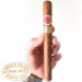 Charuto Romeo y Julieta Churchills jundiai